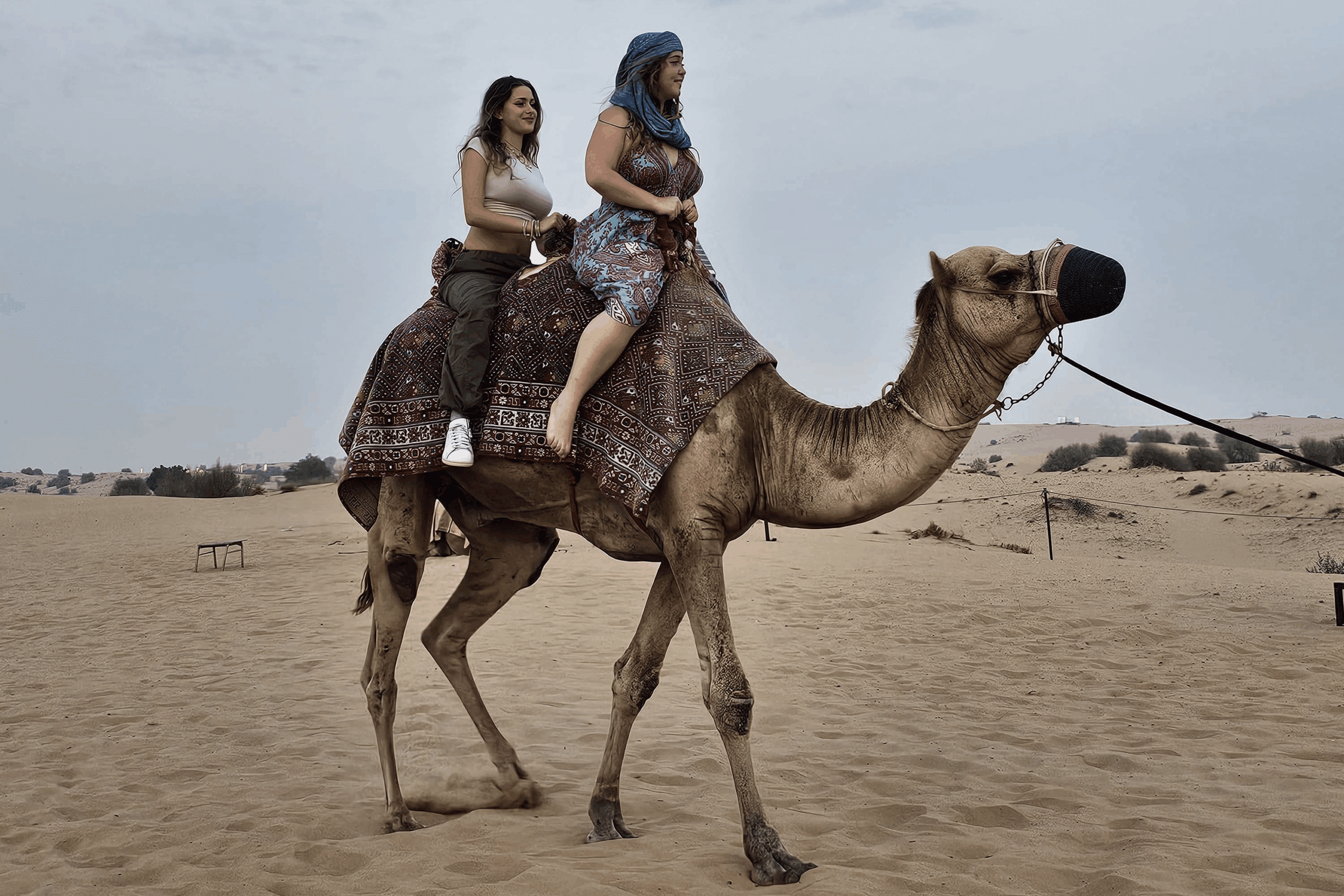 Cultural Visits and Tours
